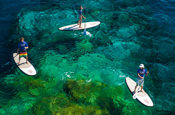 Paddle Surf en Los Gigantes